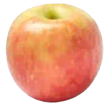 Fuji Apple