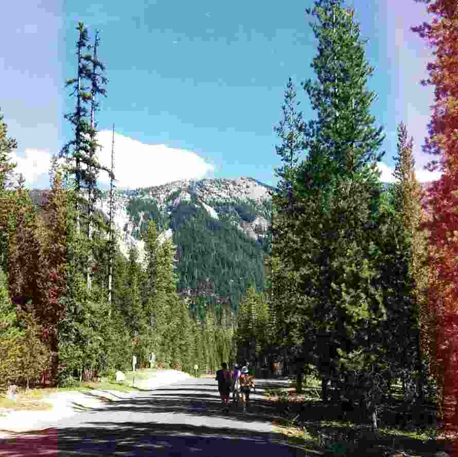 Campers walking to the lake